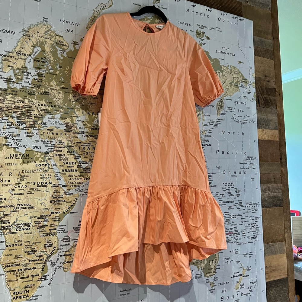 TOPSHOP Dress
